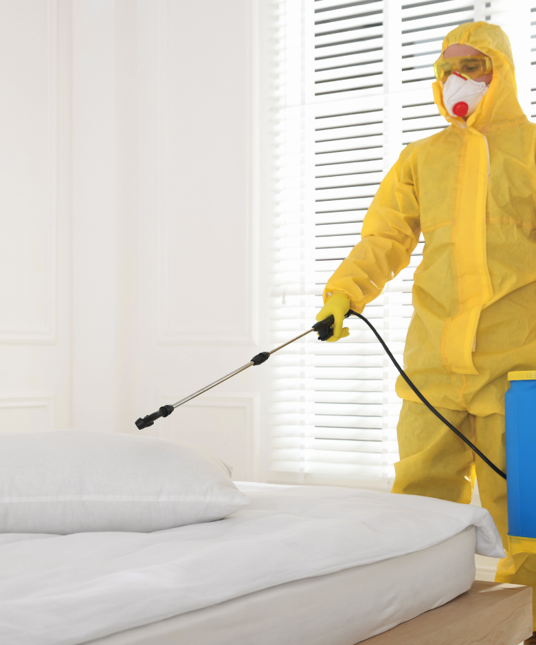 Professional Pest Control Team in Banksia Park